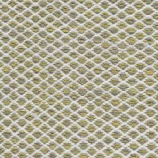 Savannah Citron rug from the Savannah collection