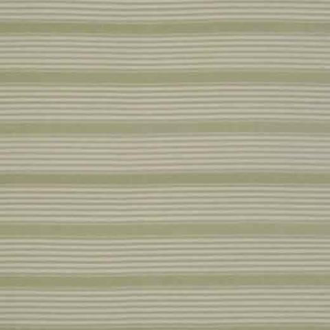 Algiers Green & Ivory